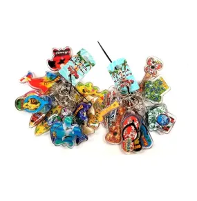 12-Pack Keychains