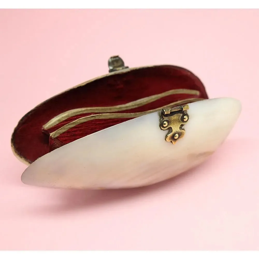 Antique Victorian Shell Coin Purse Jewellery Box