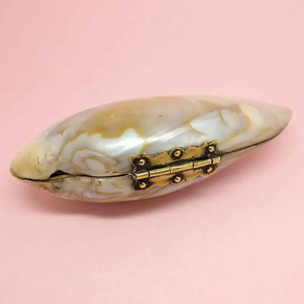 Antique Victorian Shell Coin Purse Jewellery Box