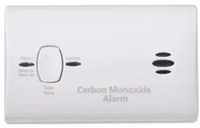 CARBON MONOXIDE ALARM BATTERY WT