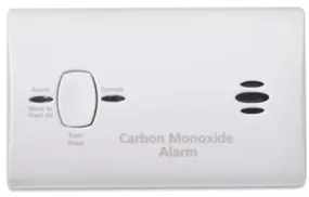 CARBON MONOXIDE ALARM BATTERY WT
