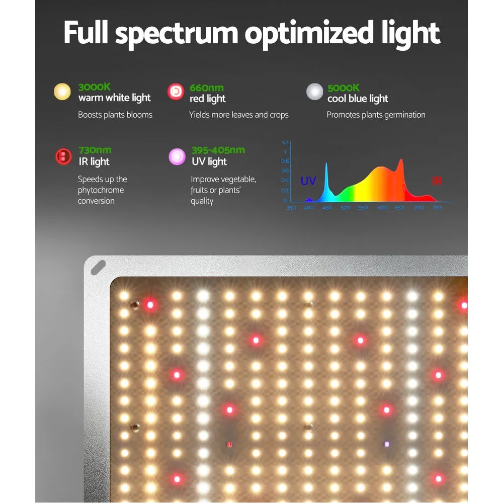 High Efficiency Full Spectrum LED Grow Light 110W - Greenfingers