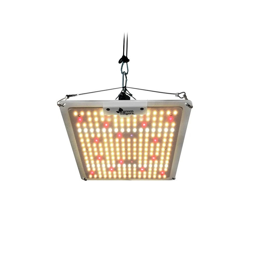 High Efficiency Full Spectrum LED Grow Light 110W - Greenfingers