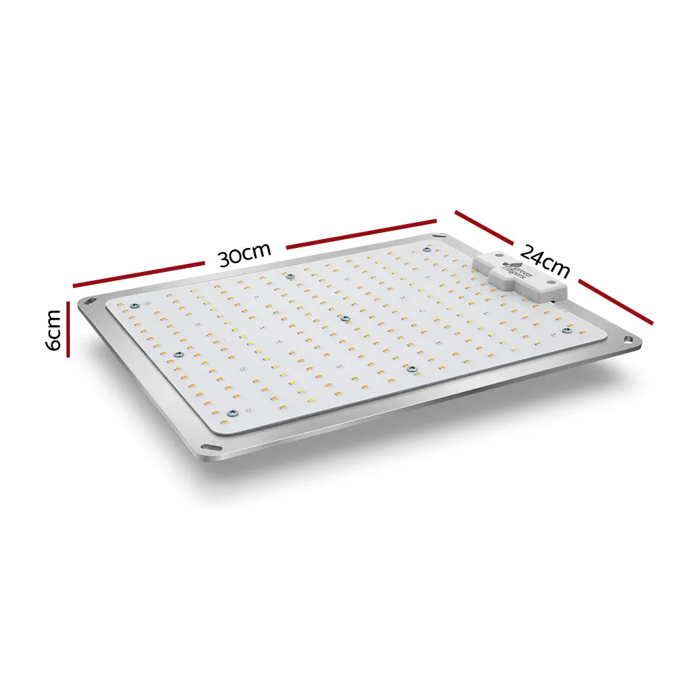 High Efficiency Full Spectrum LED Grow Light 110W - Greenfingers
