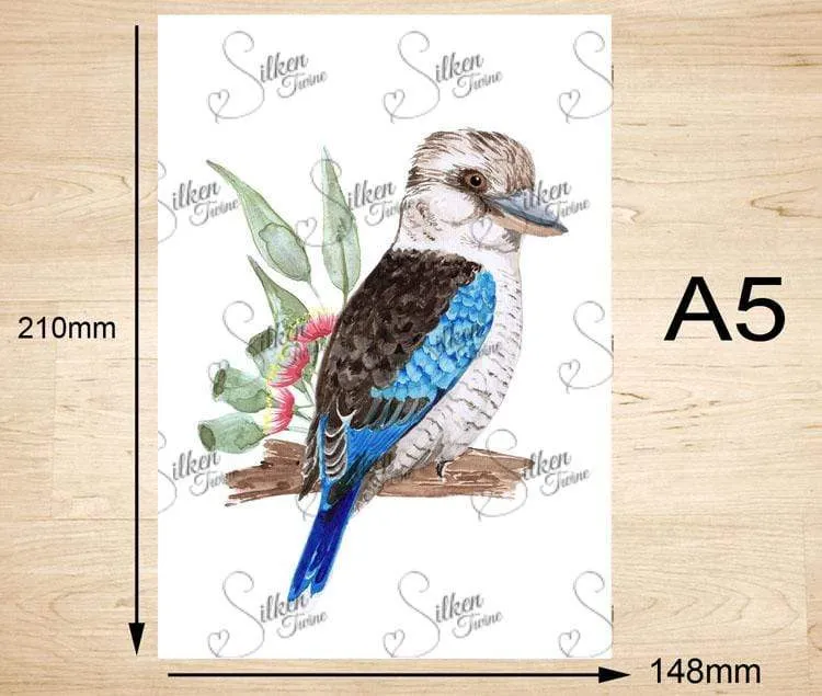 Kookaburra Art Print Right