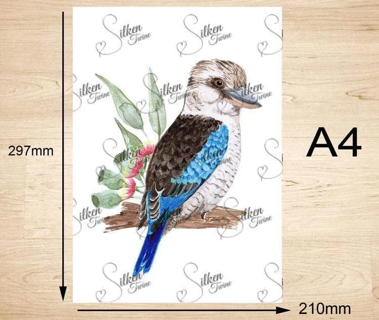 Kookaburra Art Print Right