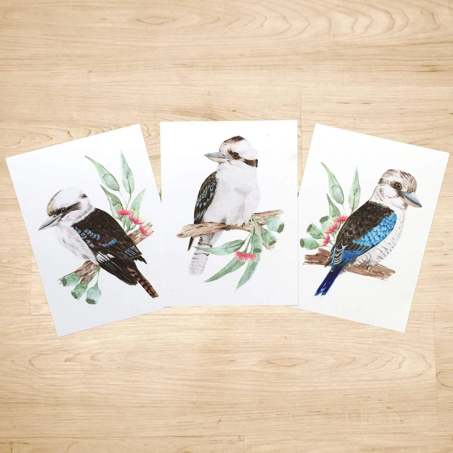 Kookaburra Art Prints set of 3