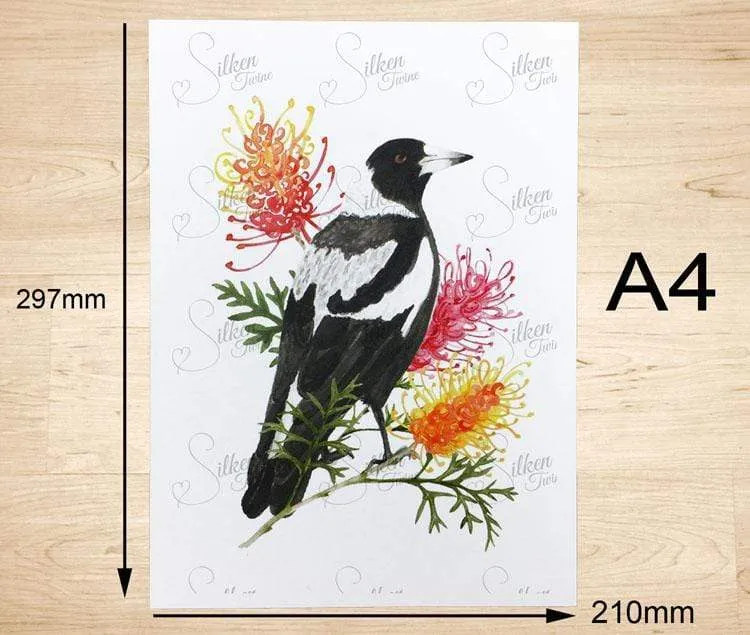 Magpie Art Prints set of 3
