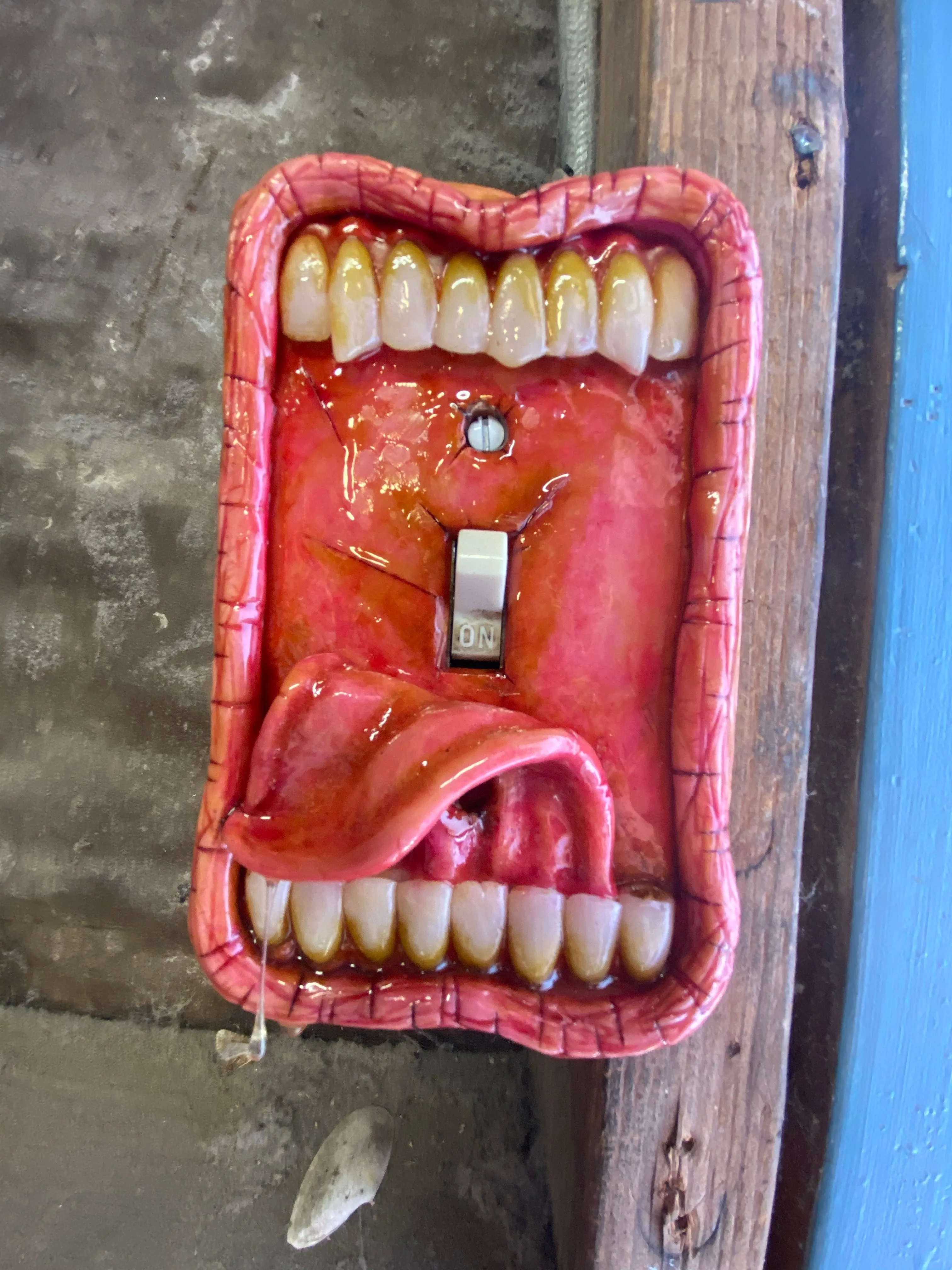Moldy Switch Plate Tongue