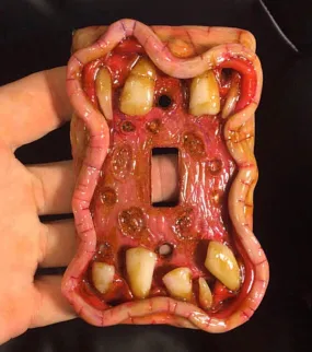 Moldy Switch Plate Toothy