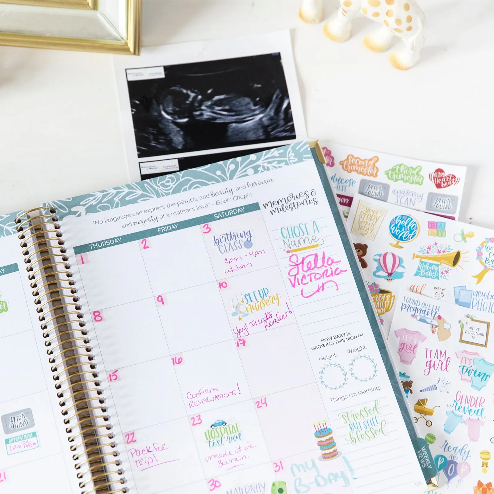 Planner Sticker Pack, Pregnancy & Baby's First Year