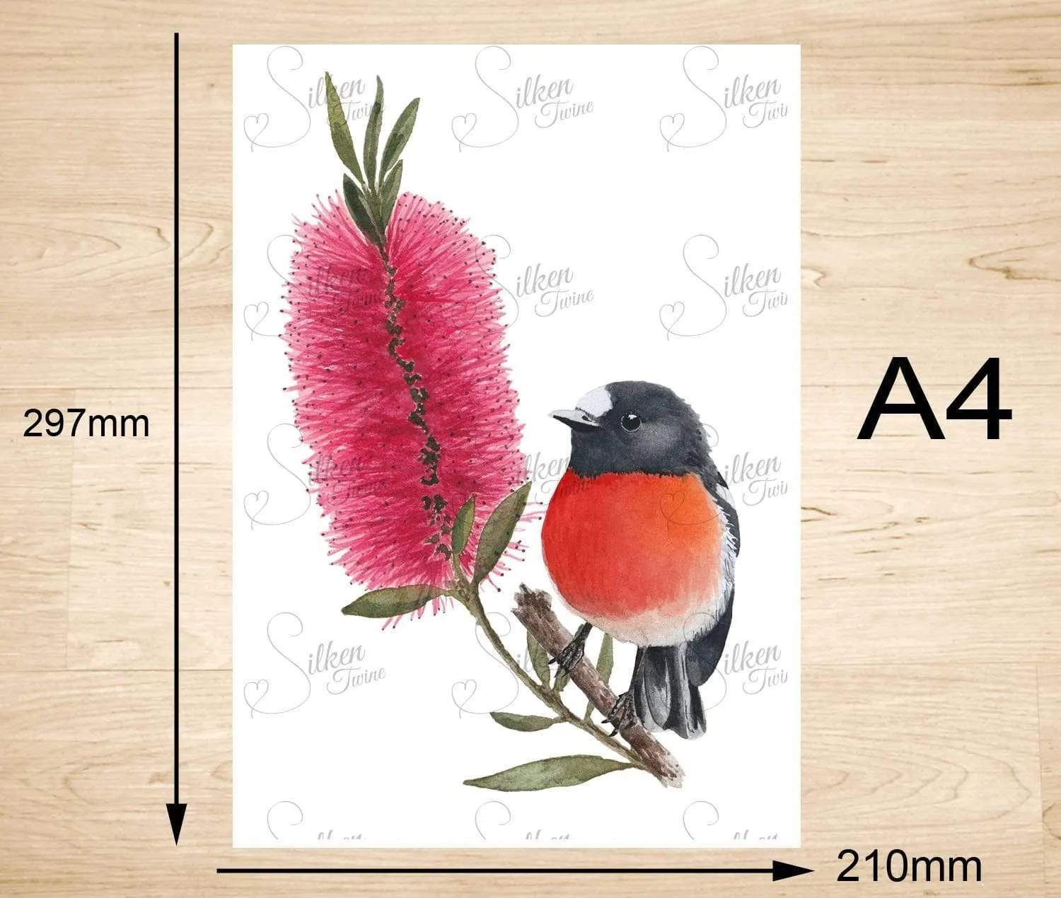 Scarlet Robin Art Print Front