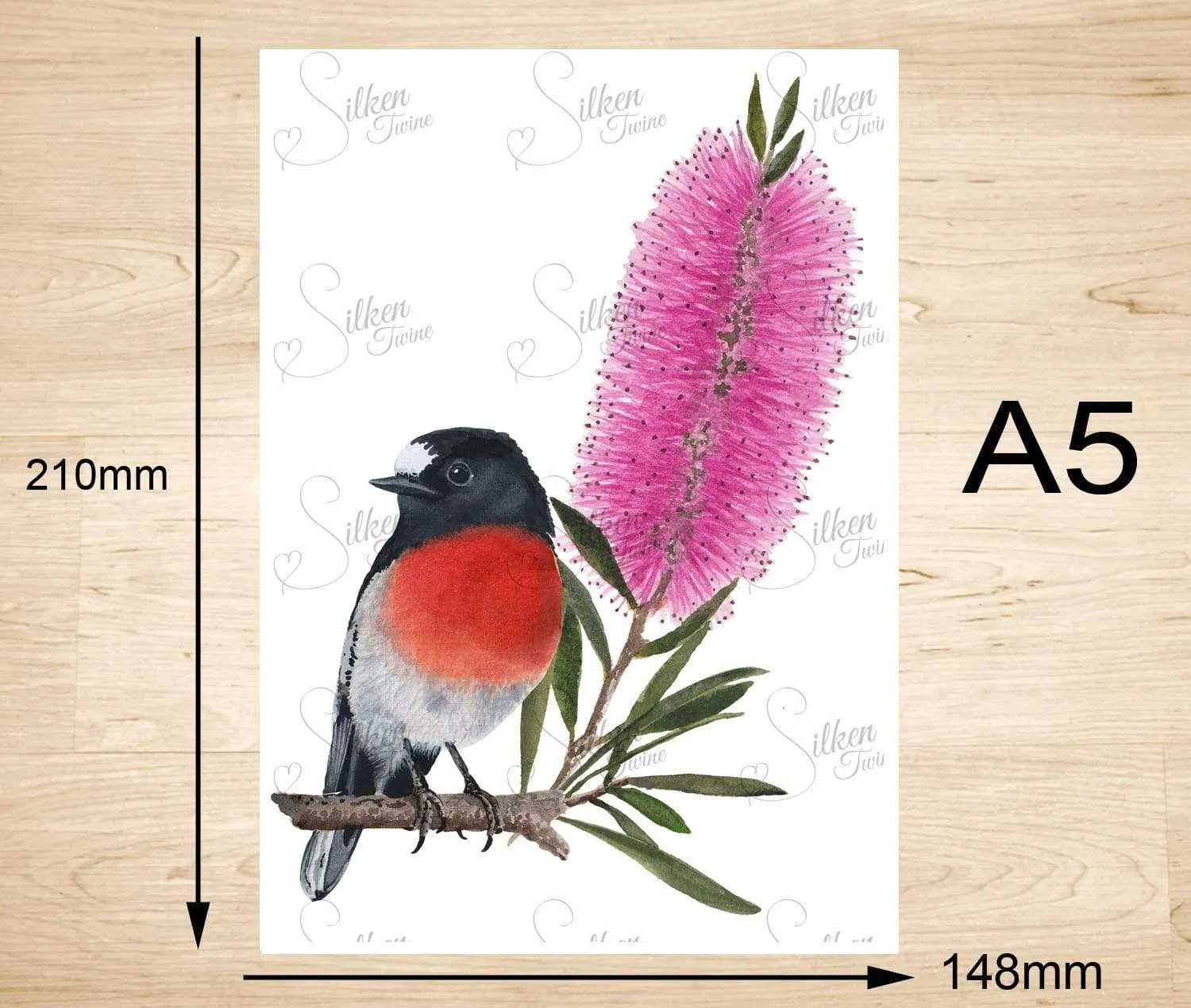 Scarlet Robin Art Print Left