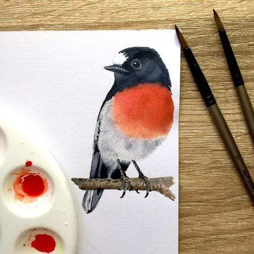 Scarlet Robin Art Print Left