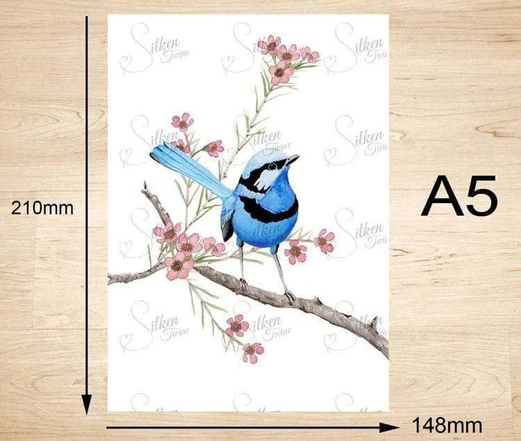 Splendid Blue Wren Prints set of 3