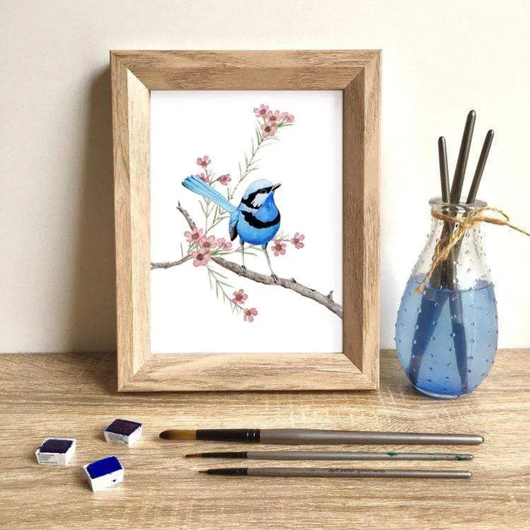 Splendid Blue Wren Prints set of 3