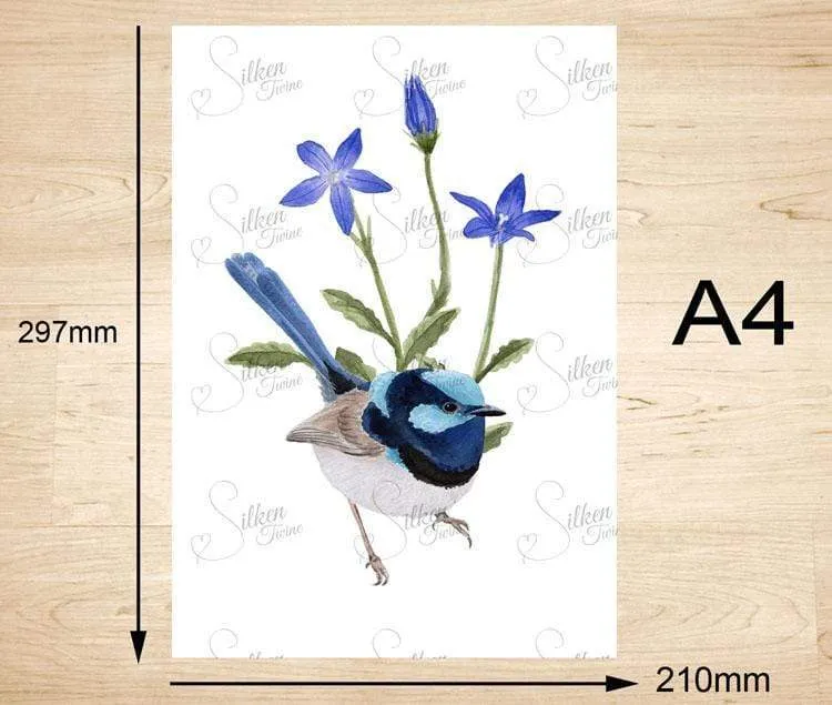 Superb Wren Art Print Right