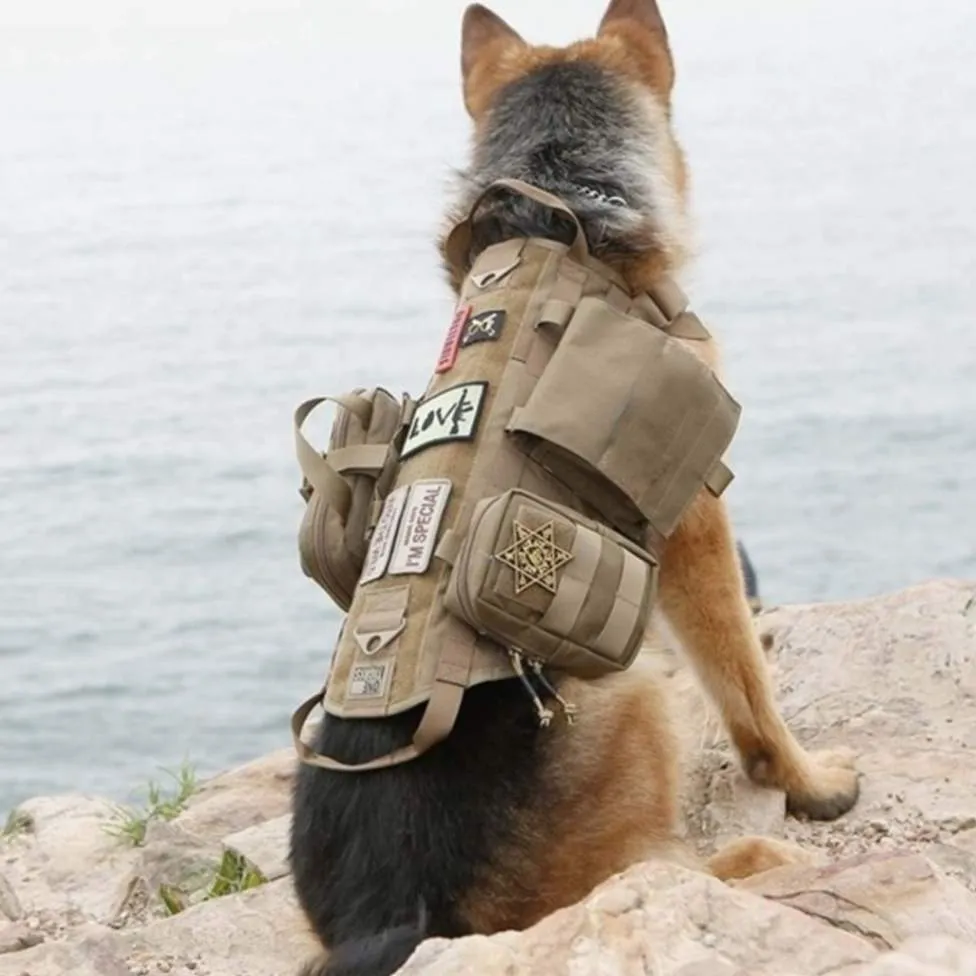 Unleash Ultimate Durability: 1000D Military Dog Harness for Elite Performance!