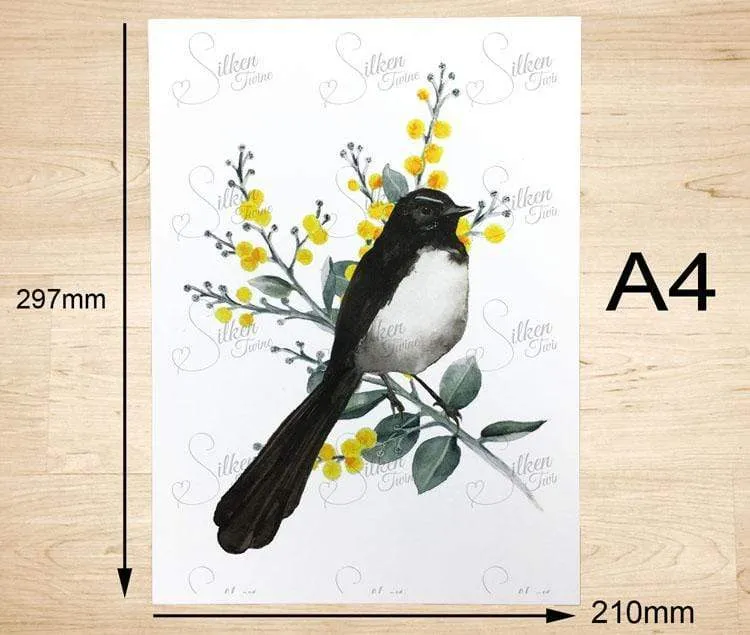 Willie Wagtail Print set of 3