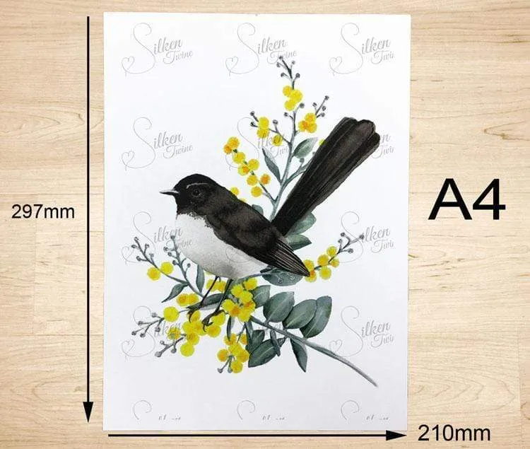 Willie Wagtail Print set of 3