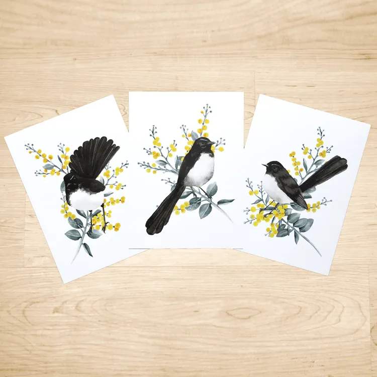 Willie Wagtail Print set of 3