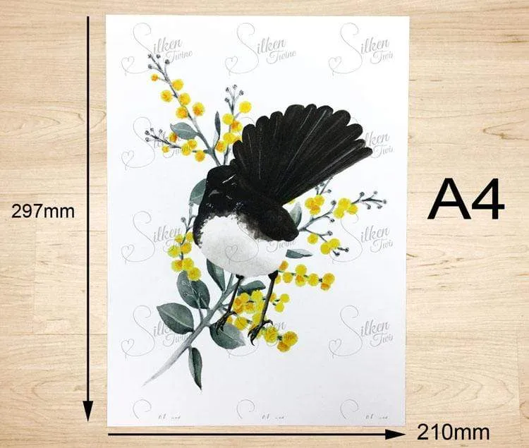 Willie Wagtail Print set of 3