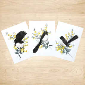 Willie Wagtail Print set of 3