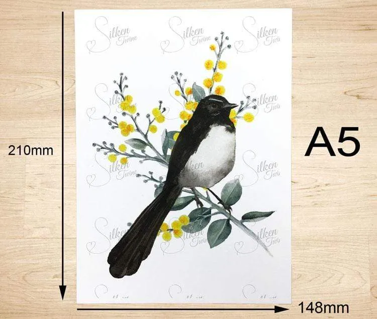 Willie Wagtail Print set of 3
