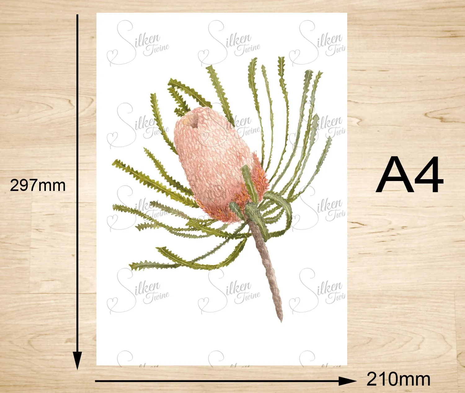Woolly Orange Banksia Art Print