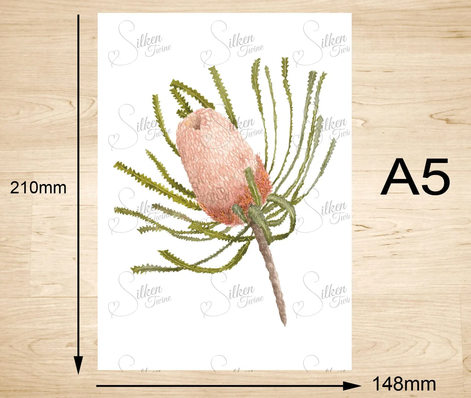 Woolly Orange Banksia Art Print