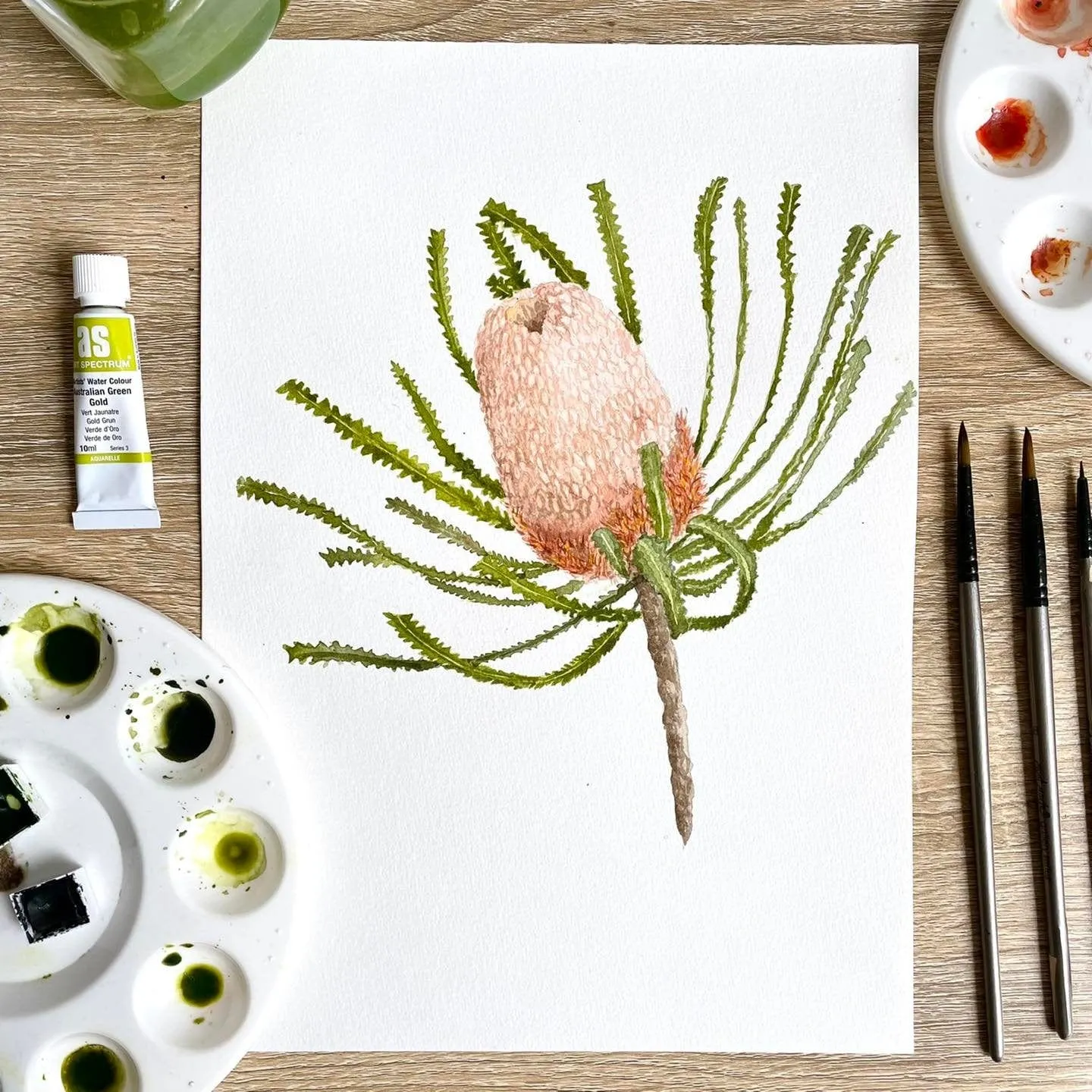 Woolly Orange Banksia Art Print