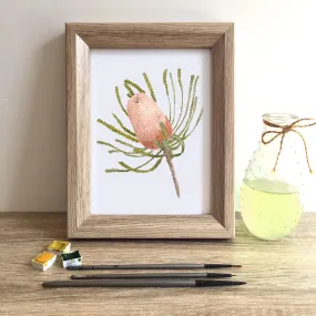 Woolly Orange Banksia Art Print