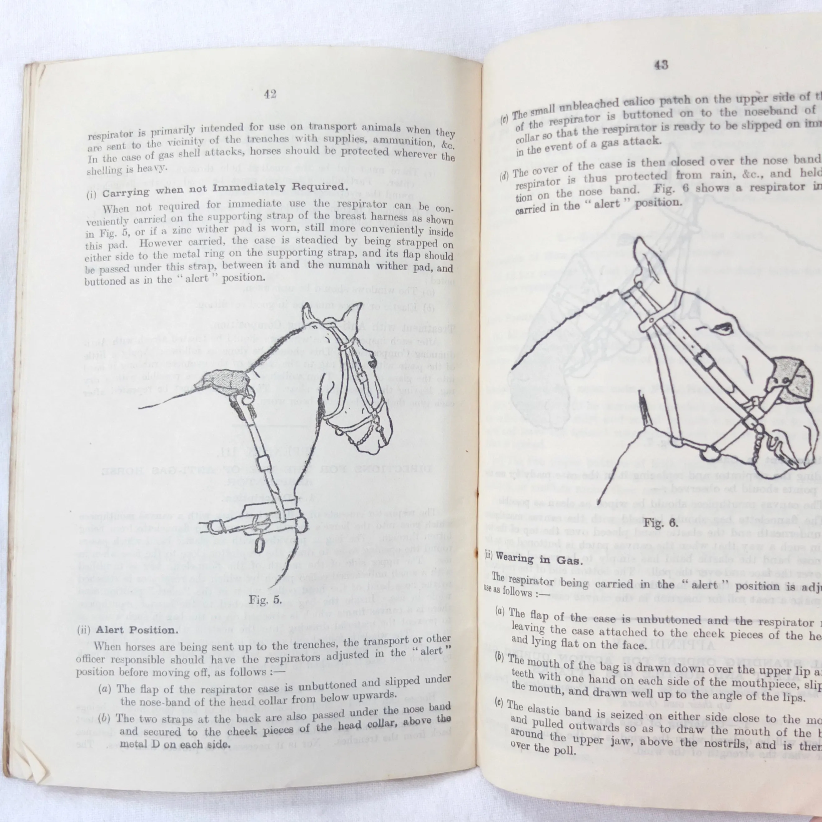 WW1 Gas Attacks Manual (1917)